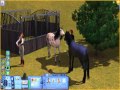 Sims 3 Pets - Unicorn Fire, Bless and Woohoo!