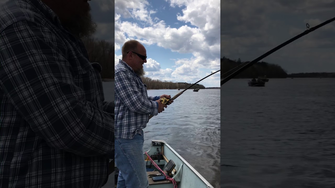 Sturgeon Fishing On The Rainy River - YouTube