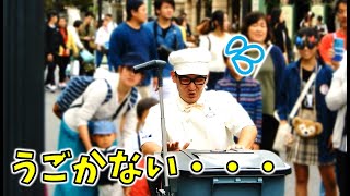 ファンカスト カートが動いてくれなくて困ったシンドウさん（東京ディズニーシー）