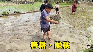 Xiaoliu is busy planting rice and is full of energy