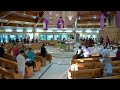 st. anselm s 7 00am mass