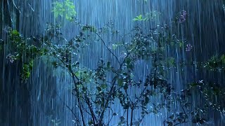 Sleep Instantly with Heavy Rainstorm \u0026 Roaring Thunder in Forest at Night | Rain Sounds for Sleeping