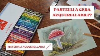 Pastelli a cera acquerellabili - Materiali Acquerellabili