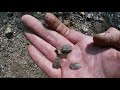 rockhounding for beautiful green crystals actinolite tremolite series crystals grace lake road cut