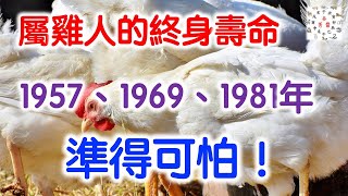 屬雞人的終身壽命：1957、1969、1981年，準得可怕！