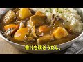 【海外の反応】「偽カレーでインド進出？話にならんｗｗ」魔改造された日本式カレーの店coco壱番屋がカレーの本場インドで出店！→その結果ｗｗ【神撃の日本】