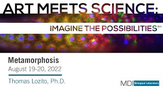 Art Meets Science: Metamorphosis -- Thomas Lozito, Ph.D.