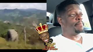 Shuler King - Now Why Would Anybody Do This?!!!