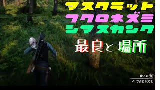 RDR2 　マスクラット　フクロネズミ　シマスカンク　場所と最良　レッドデッドリデンプション2