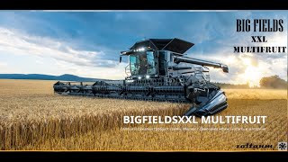 Farming Simulator 19 / Big Fields XXL Multifruit / #6