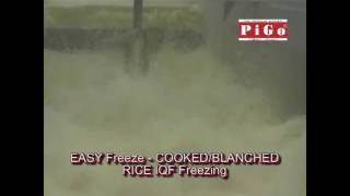 EASY Freeze   RICE IQF Freezing