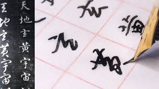 鋼筆臨寫 智永#千字文 #行楷 #草書 對照版《 #硬筆字 》