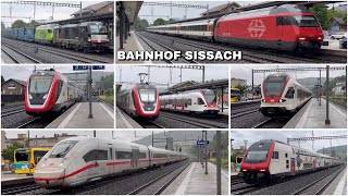 Züge beim Bahnhof Sissach | Trains at Sissach station (2024)