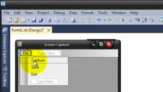 How to Make Your own Screen Capture!(Visual Basic 2010)