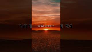 Abrham Afewerki - Hadera | ሓደራ Tigrigna Lyrics