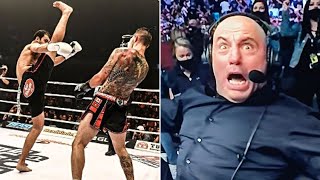 Top 13 Most Brutal Kickboxing Knockouts | Stone Cold KO's Pt 1