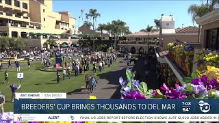 Breeders' Cup brings thousands to Del Mar