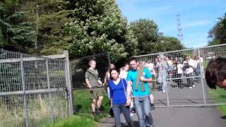 Evacuated from Edinburgh Zoo Heck Cattle escaped 3/9/12