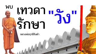 พบเทวดารักษาวัง / หลวงพ่อฤาษีลิงดำ