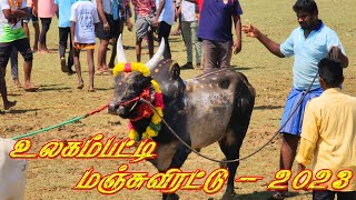 Ulagamapatti Manjuvirattu 2023 | உலகம்பட்டி மஞ்சுவிரட்டு | Part 2 | Local Media