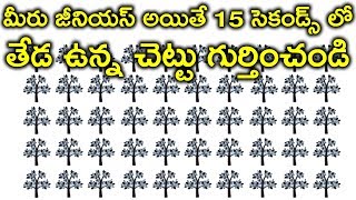 మీరు జీనియస్ అయితే 15 సెకండ్స్ లో తేడ ఉన్న చెట్టు గుర్తించండి | Only Geniuses Can Find Odd one