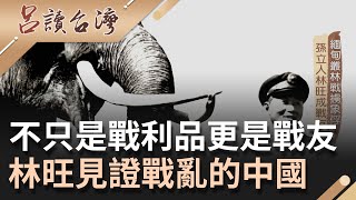 不只是戰利品更是戰友! 孫立人緬甸叢林戰擄象俘 林旺一生見證戰亂的中國 還與國軍並肩作戰｜呂捷 主持｜【呂讀台灣】20211003｜三立新聞台