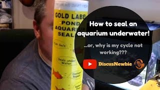 How To: Reseal an aquarium underwater (or why won't my cycle work?!)