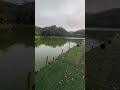 nosso acampamento no pesqueiro 3 irmãos fishing pescaria fish pesqueesolte pescaesportiva