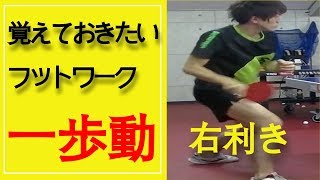 【卓球初心者】覚えておきたいフットワーク『一歩動』【右利き】