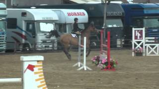 Gigant - HOYS Newcomers Regional Weston Lawns Round 1