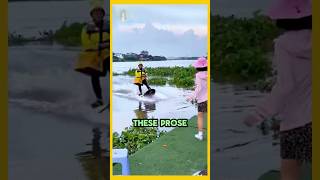 WILD Vietnamese Delivery Pros RACE Through Jungle Rivers! 😮❤️