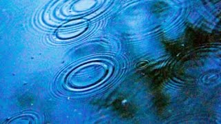What Do Neutrino Oscillations Tell Us? | World Science Festival