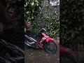 Motor tertimpa pohon tumbang.#short #shorts #shortvidioes #shortvidioviral