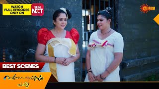 Swargavathil Pakshi - Best Scenes | 11 Dec 2024 | Surya TV Serial