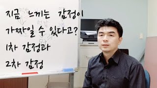 감정학교 22강 - 억압된 감정의 시스템 : 1차 감정과 2차 감정