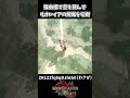 【モンハン】操虫棍で空を飛んでリオレイアの尻尾を切断【モンハンサンブレイク】