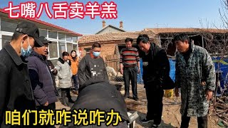 内蒙养殖户想过秤卖5只羊羔，谈好价格他又说不卖了，看怎么回事