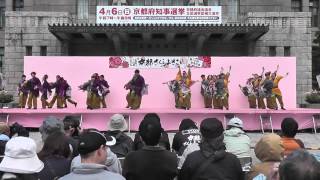 2014 京都さくらよさこい 2日目 京都市役所前会場 夢源風人