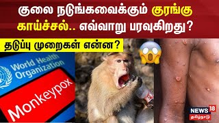 குலை நடுங்கவைக்கும்குரங்கு காய்ச்சல்.. எவ்வாறு பரவுகிறது?தடுப்பு முறைகள் என்ன? | Monkey Fever