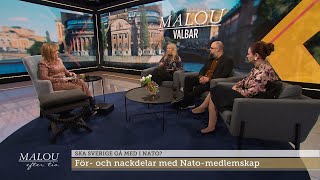 Ska Sverige gå med i Nato?  | Malou Efter tio | TV4 & TV4 Play