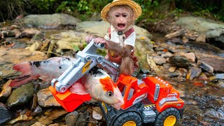 Baby monkey digs swimming pool and bathes with cute koi, goldfish, and red fish