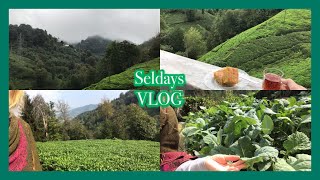 [Seldays VLOG] Serenity in Nature 🌸🌿