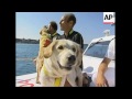 news feature italian coast guard deploys dogs to save drowning swimmers