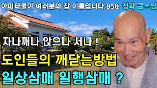 도인들의 깨달음 공부방법의 핵심 자나깨나 앉으나 서나 일상삼매 일행삼매 | 나무아미타불 염불참선 |청화스님 법문