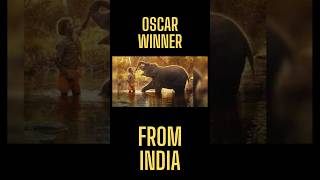 The Elephant Whisperer - Oscar winner film (India) #shorts