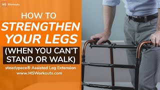 Strengthen Your Legs When You Can't Stand | Exercises for MS