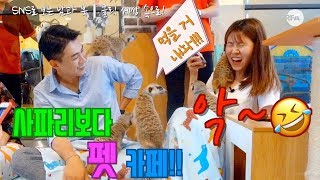 [북남북녀의 반려동물 찾기] 사파리보다 펫카페?!