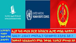 ኢ/ያ ካብ መረጻ ቦርድ ክትስርዝ ሕጋዊ መሰል ኣለዋዶ? ሳዕቤን፣ ረብሓን መፍትሒን ናይዝውሳነ እንታይ እዩ ?