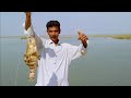 karachi fishing point || Catch and cook || Road to Harjina Fishing point || Catch a bigg grouper