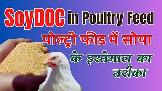 Poultry Feed me #SoyDOC ki Samasya | Use of #Soybean Meal | How FCR get impacted with poor SoyDOC